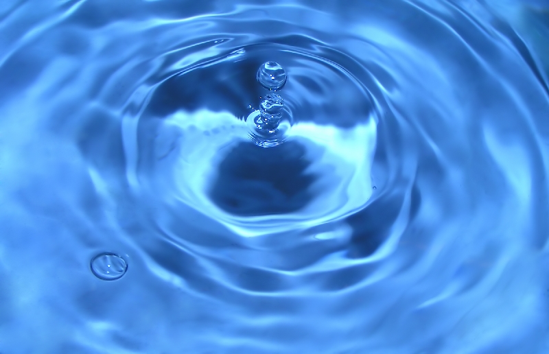 МОСВ представи инвестиционната си програма за 2009 г.